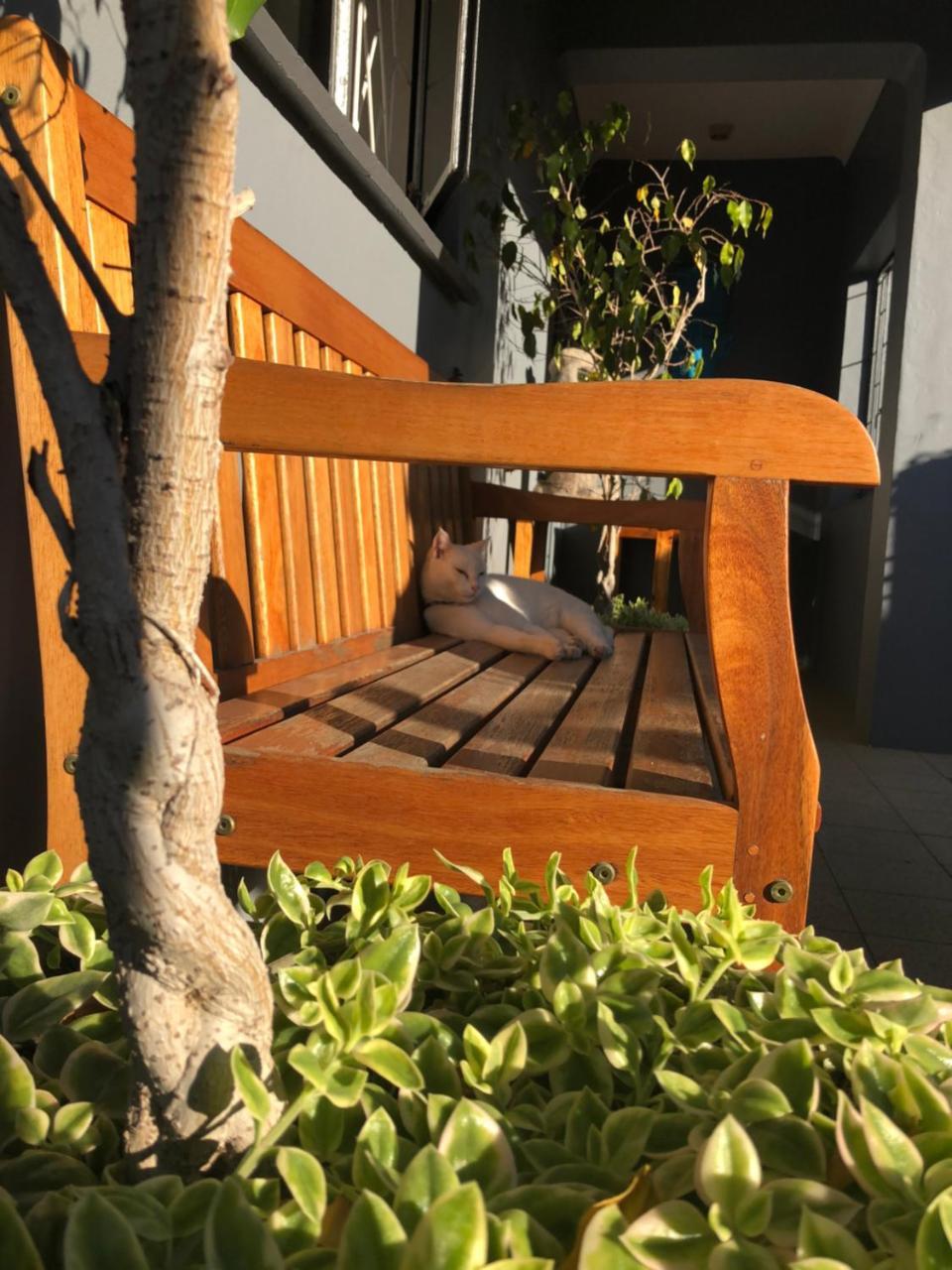Albergo For Backpackers Плетенбърг Бей Екстериор снимка