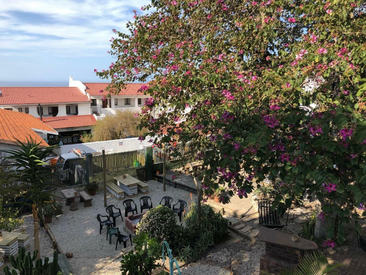 Albergo For Backpackers Плетенбърг Бей Екстериор снимка